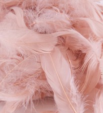 Confetti Peluches Feathers 50