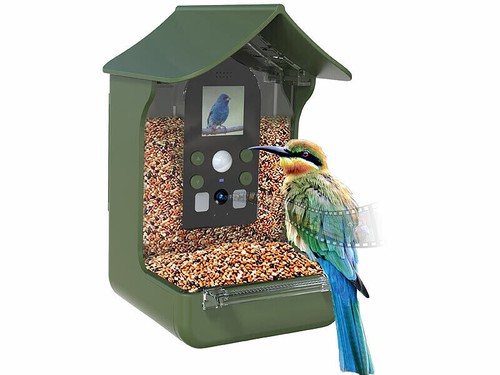 Mangeoire oiseaux avec - mangeoire,