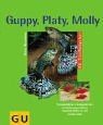 Guppy platy molly - platy,,