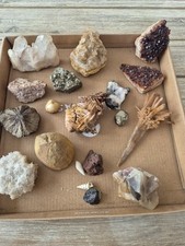 LOT DE MINÉRAUX ET FOSSILES