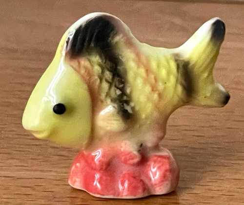 Superbe fève poisson - superbe,