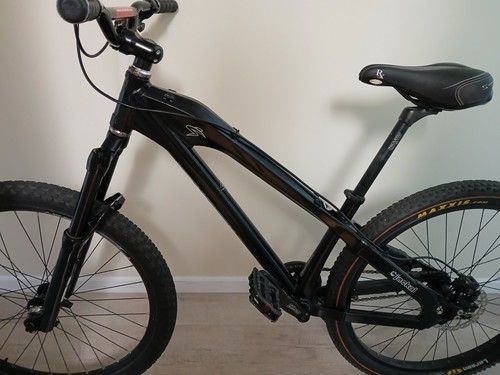Santa cruz jackal - santa,