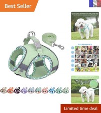 Harnais Anti-Traction avec