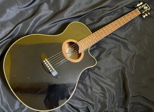 Guitare acoustique électrique