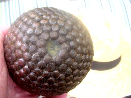 Antique french boule cloutee - french,