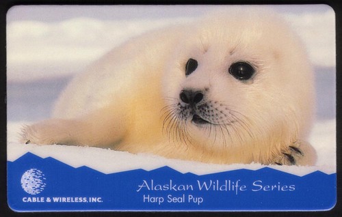 Alaskan vie sauvage - sauvage, séries