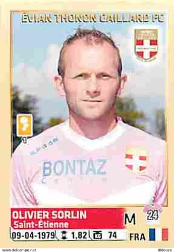 Stickers panini france - france, foot