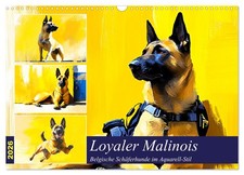 Loyal malinois. Berger belge style aquarelle (Calendrier mural 2026 DIN A3 horiz