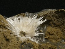Aragonite sur Basalte
