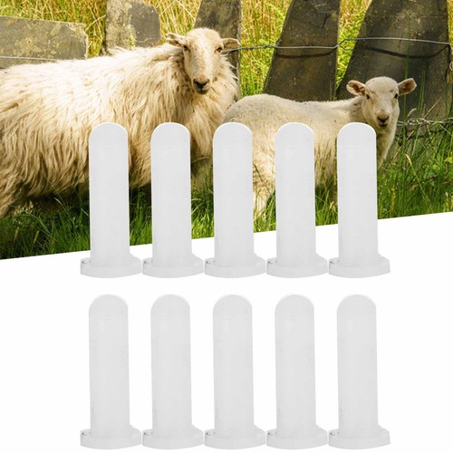 10pcs tétines spéciales - tétines, pour
