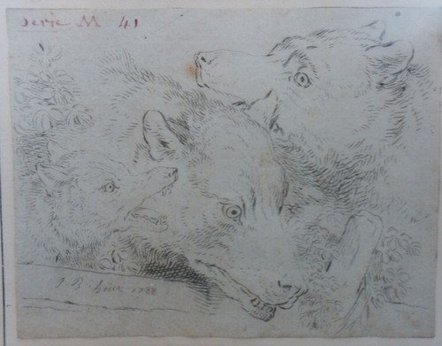 Loup louve louveteau - "loup,louve, et