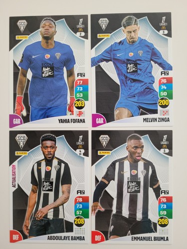 Lot cartes panini - de,