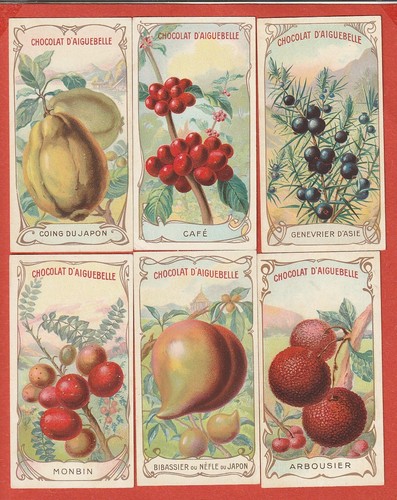 Chromos fruits - -,