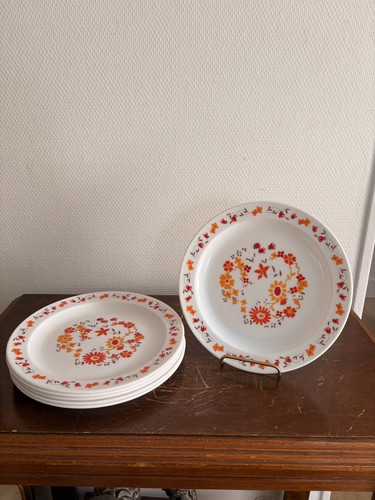 Lot assiettes plate arcopal - plate,