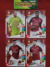 LOT DE 8 CARTES PANINI