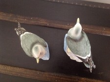 Belles Mouettes en biscuit