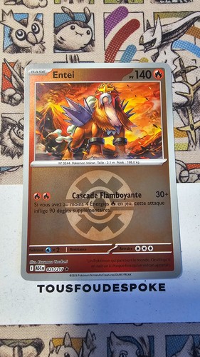 Entei 025 217 neuf - entei,