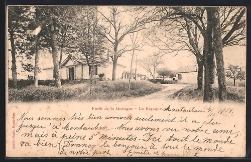 Cpa forêt grésigne - grésigne,, la