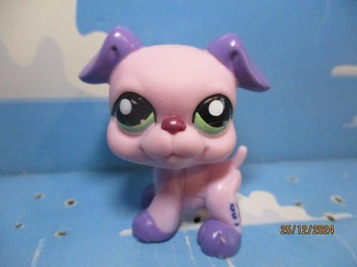 Petshop chien boxer - chien,
