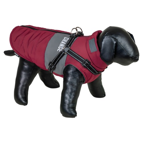 Nobby manteau pour chien - manteau,