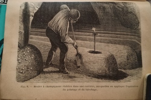 1894 almanach jardinier - almanach,