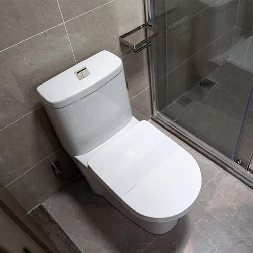 Double bouton poussoir - , wc