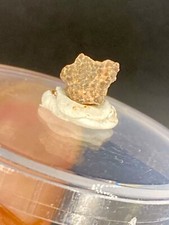 0.27'' / 0,7 cm  Rare