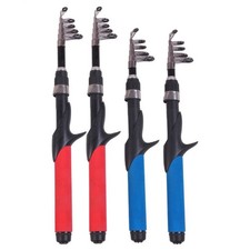 Canne à pêche canne à