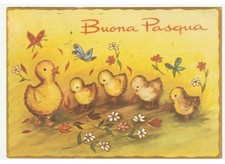 Cartolina Vintage 1968 Pulcini