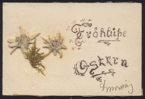 Carte postale fleurs - carte,