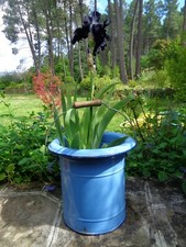 ancien seau d'aisance en tole émaillé bleu, jardin ,fleurs