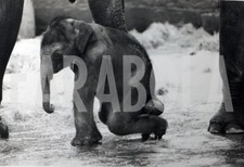 Photo de presse vintage