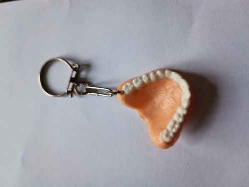 Porte clés curiosité dentier - porte-clés,