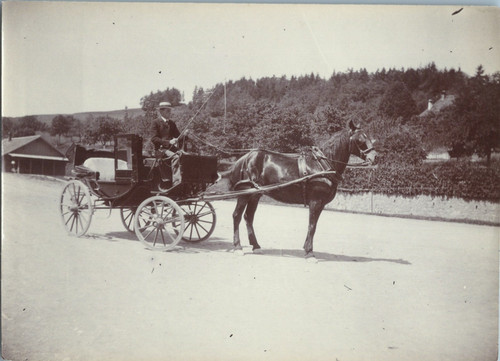 Angleterre voiture cheval - voiture, à