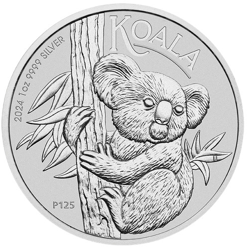 2024 australia koala oz - australia,