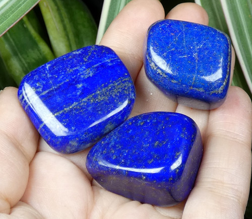 Lot lapis lazuli polis - lot, lapis-lazuli