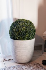 Plante artificielle boule - boule, de