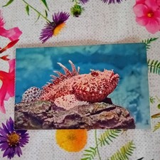 ANCIENNE CARTE POSTALE N°105