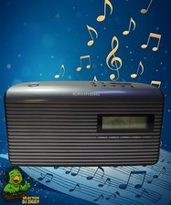 Grundig Music 61 Radio Réveil FM Avec Informations RDS Testé et Fonctionnel+Pile