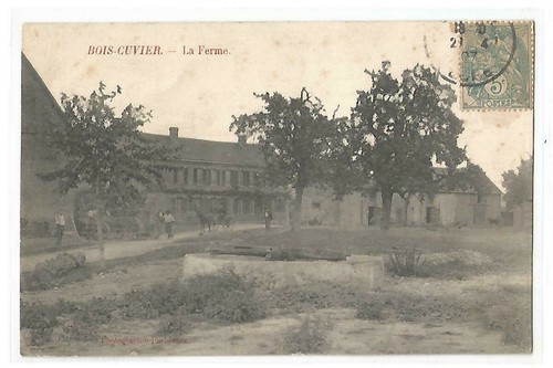 Bois cuvier la ferme - bois,