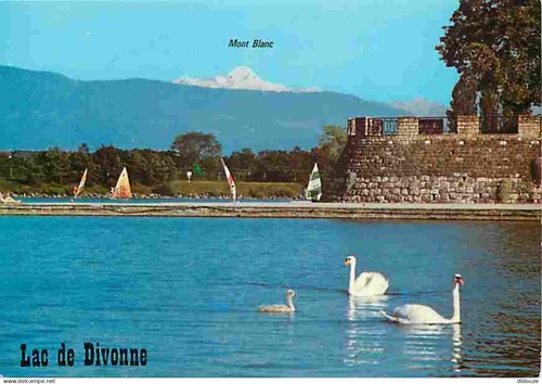 Carte postale divonne - carte,
