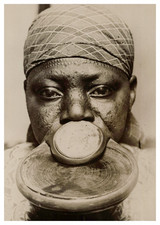 Zoo humain, Exposition