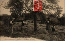 CPA La vieux aux champs -