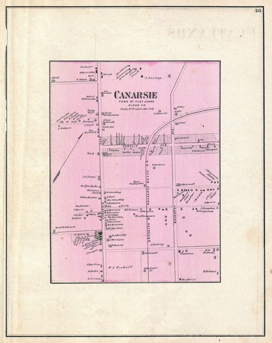 1873 beers map canarsie - beers,