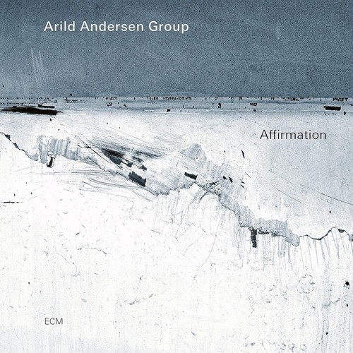 Arild andersen group - andersen,