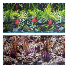 poster fond aquarium reversible 150 X 60 cm  terrarium / pierre Dentelle rouge