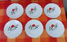 6 Assiettes Plates Lunéville