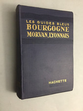 P551-VOYAGES - Guide Bleu