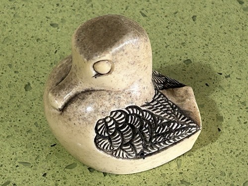Oiseau petit canard bec - ,