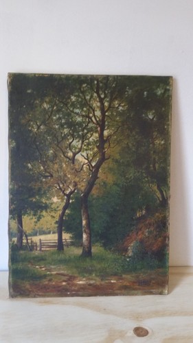 Huile sur toile - un, sous-bois
